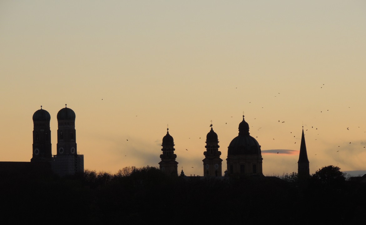 Dusk birds