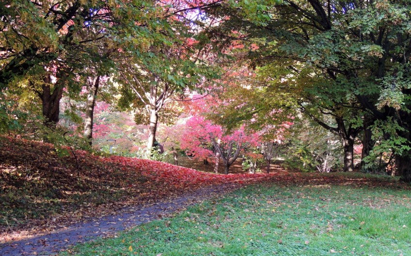 Green-Red-Green