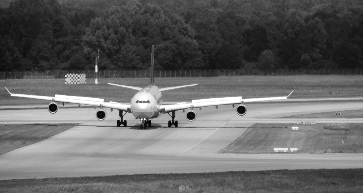 Big Bird