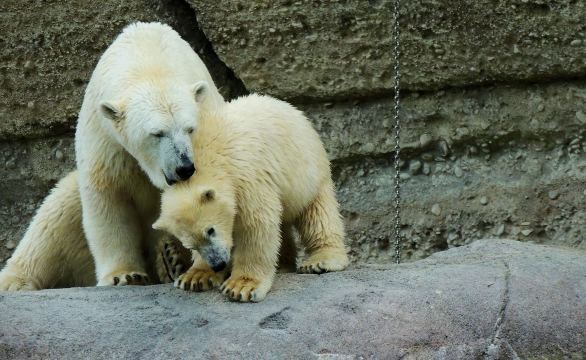 Munich Zoo