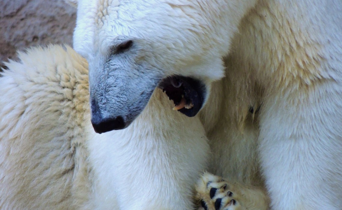 Munich Zoo