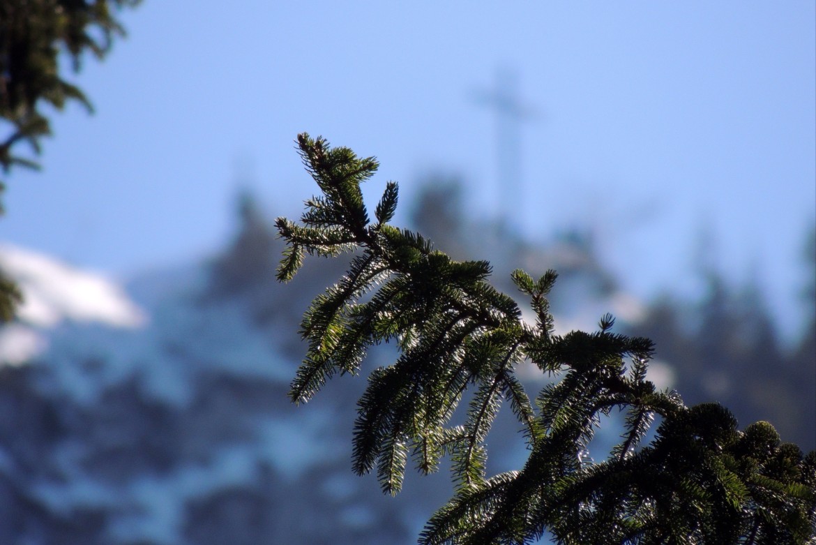 Frost