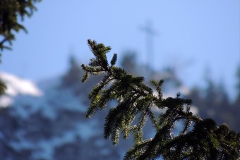 Frost