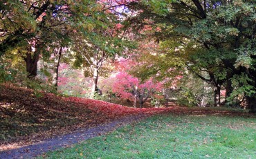 Green-Red-Green