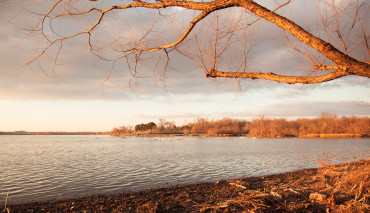 Winter Light