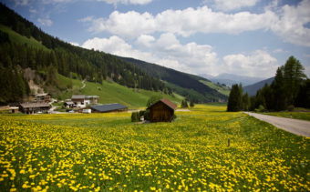 Yellow Sea