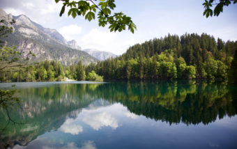 Reflections
