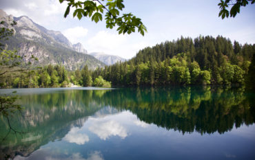 Reflections