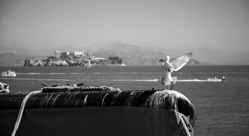Freedom!