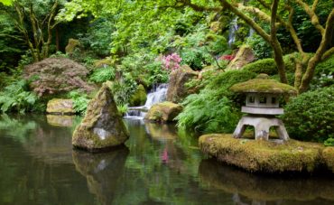Peaceful