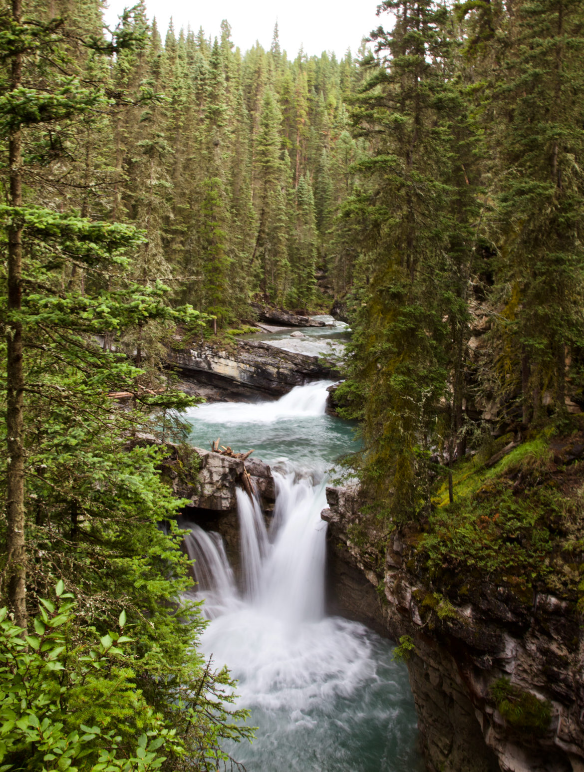 Flowing in the Green