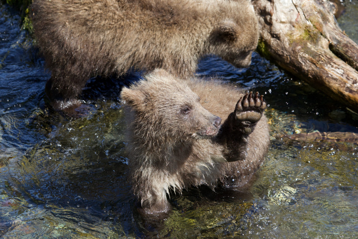 High Five